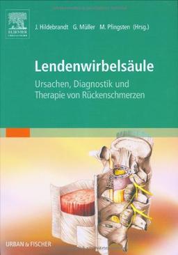 Lendenwirbelsäule: Ursachen, Diagnostik und Therapie von Rückenschmerzen