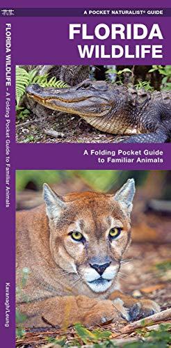 Florida Wildlife: A Folding Guide to Familiar Animals: An Introduction to Familiar Species (Pocket Naturalist Guide Series)