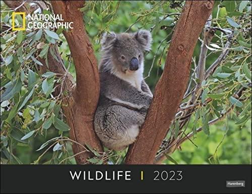 Wildlife Posterkalender National Geographic 2023