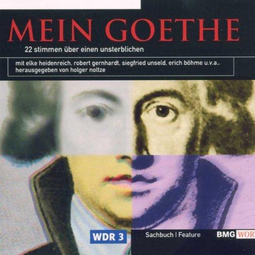 Mein Goethe: 22 Stimmen Über