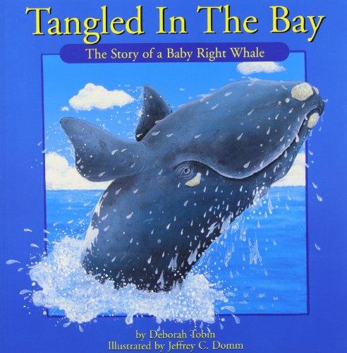 Tangled in the Bay (Natural Heroes)