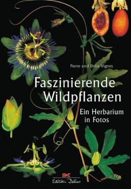 Faszinierende Wildpflanzen: Ein Herbarium in Fotos