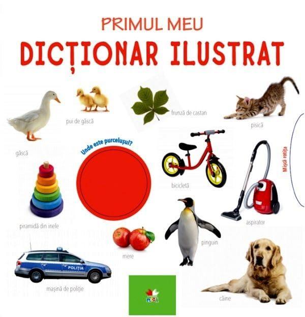 Primul Meu Dictionar Ilustrat