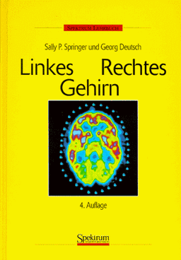 Linkes / Rechtes Gehirn