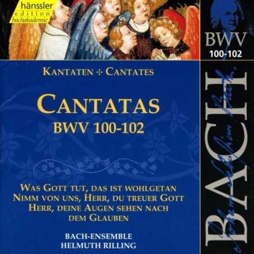 Bach: Kantaten Vol. 32 BWV 100-102)