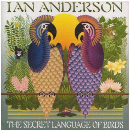 Secret Language of Birds