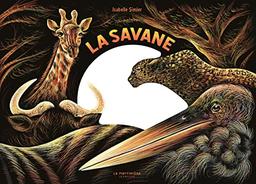 La savane : une nuit...