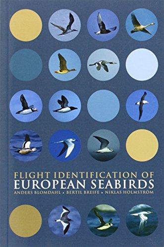 Flight Identification of European Seabirds (Helm Identification Guides)