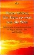 Ein Herz so weit wie die Welt: Buddhistische Achtsamkeitsmeditation als Weg zu Weisheit, Liebe und Mitgefühl