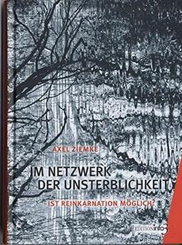 Im Netzwerk der Unsterblichkeit: Ist Reinkarnation möglich? Ein Biochemiker und ein Philosoph im Selbstgespräch über Gehirn, Bewusstsein und geistige Welten. (edition info3)