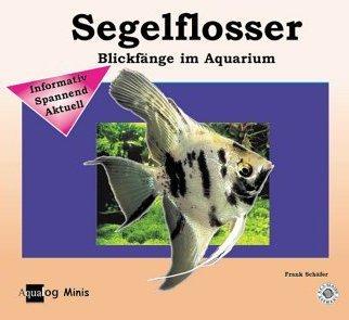 Mein Segelflosser