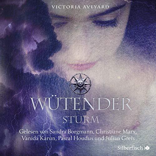 Wütender Sturm: 3 CDs (Die Farben des Blutes, Band 4)