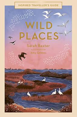 Wild Places: Volume 6 (Inspired Traveller's Guides, Band 6)