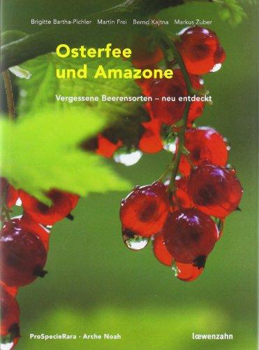 Osterfee und Amazone. Vergessene Beerensorten - neu entdeckt