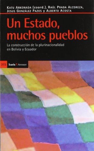 Un estado, muchos pueblos : la construcción de la plurinacionalidad en Bolivia y Ecuador (Antrazyt, Band 372)