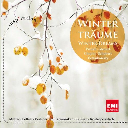 Winterträume-Winter Dreams