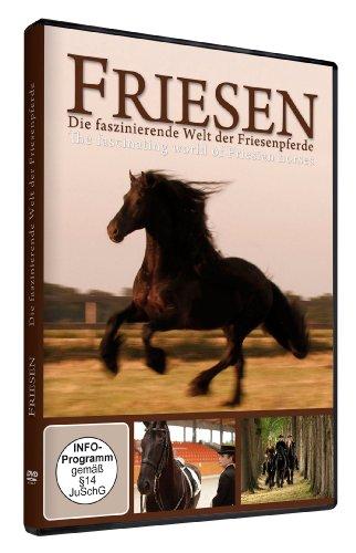 Friesen: Die faszinierende Welt der Friesenpferde