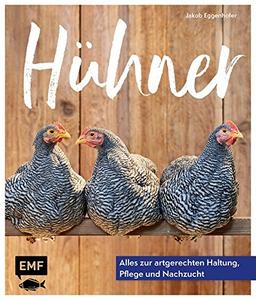 Hühner: Alles zur artgerechten Haltung, Pflege und Nachzucht