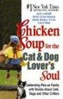 A Chicken Soup for the Cat & Dog Lover's Soul: Celebrating Pets as Family with Stories about Cats, Dogs and Other Critters (Chicken Soup for the Soul)