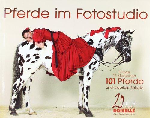 Pferde im Fotostudio