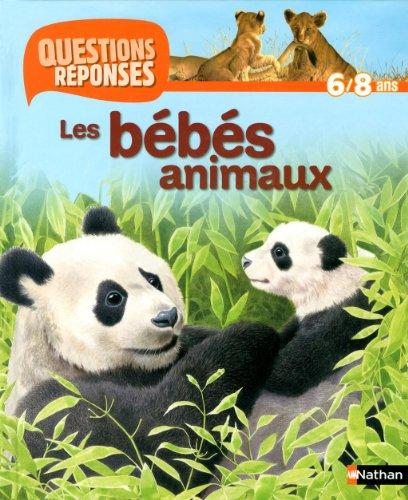 Les bébés animaux