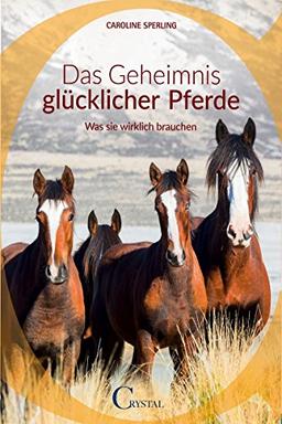 Das Geheimnis glücklicher Pferde: Was sie wirklich brauchen