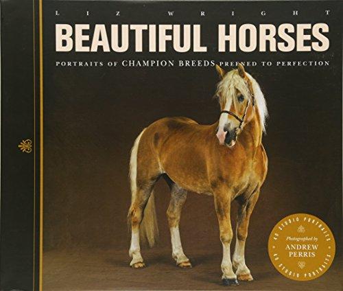 Beautiful Horses: Portraits of Champion Breeds: Portraits of Champion Breeds Preened to Perfection