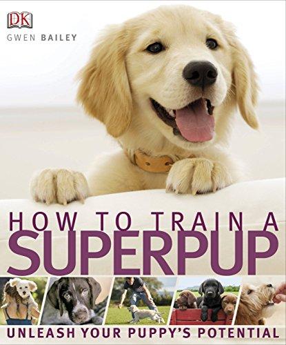 How to Train a Superpup: Unleash your puppy's potential