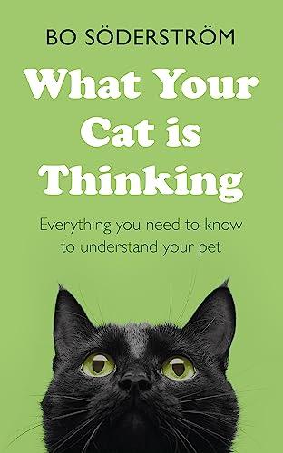 What Your Cat Is Thinking: Everything You Need to Know to Understand Your Pet