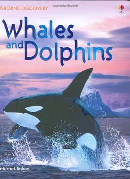 Whales and Dolphins (Usborne Discovery)