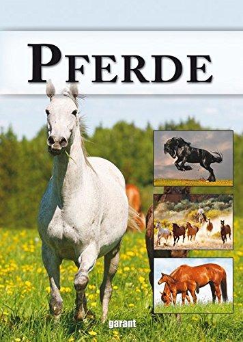 Pferde