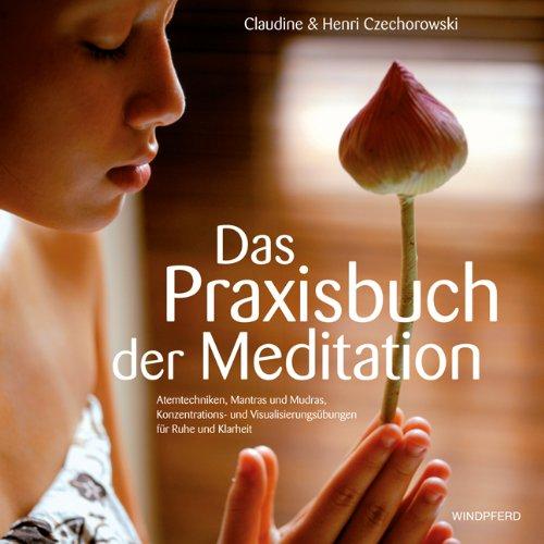 DAS PRAXISBUCH DER MEDITATION - Atemtechniken, Mantras und Mudras, Konzentrations- und Visualisierungsübungen für Ruhe und Klarheit