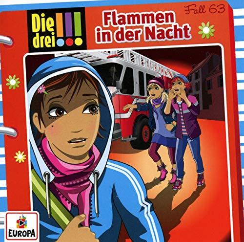 063/Flammen in der Nacht