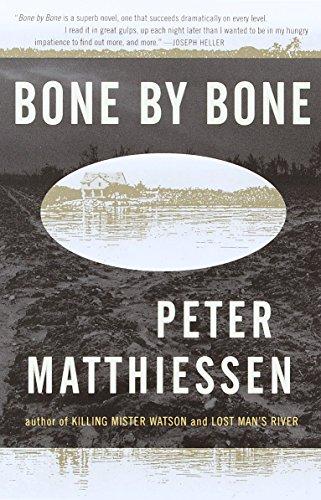 Bone by Bone: Shadow Country Trilogy (3) (Vintage International)