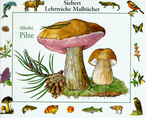 Allerlei Pilze