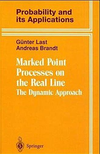 Marked Point Processes on the Real Line: The Dynamical Approach (Probability and Its Applications)