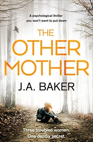 The Other Mother: A Psychological Thriller You Won't Want to Put Down