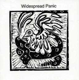 Widespread Panic