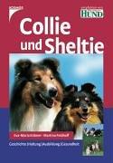 Collie und Sheltie: Geschichte. Haltung. Ausbildung. Gesundheit