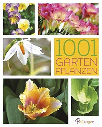 Der Garten: Planen. Gestalten. Bepflanzen. Pflegen. Tipps für perfektes Gärtnern