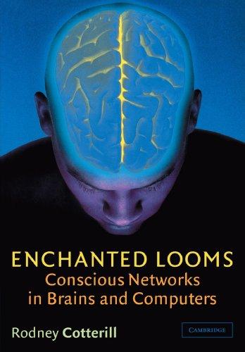 Enchanted Looms: Conscious Networks in Brains and Computers