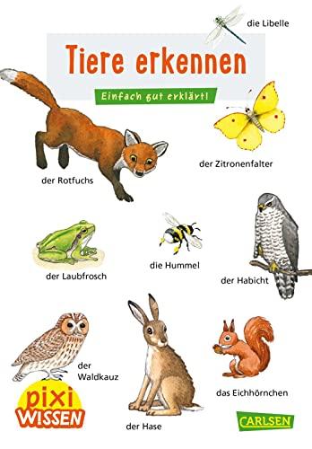 Pixi Wissen 30: Tiere erkennen: Einfach gut erklärt! | Allgemeinwissen für Grundschüler. (30)