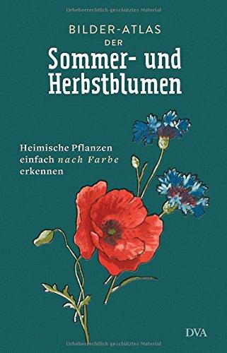 Bilder-Atlas der Sommer- und Herbstblumen -   -: Heimische Pflanzen einfach nach Farbe erkennen