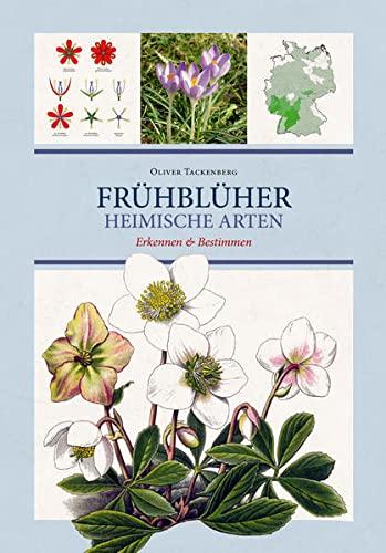 Frühblüher. Heimische Arten.: Frühlingsblumen bestimmen & erkennen