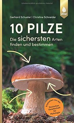 10 Pilze: Die sichersten Arten finden und bestimmen