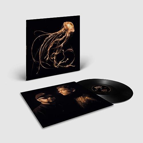 Back To The Water Below [Vinyl LP]