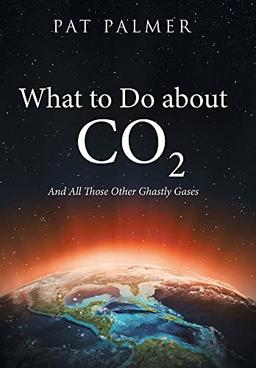 What to Do About Co2: And All Those Other Ghastly Gases