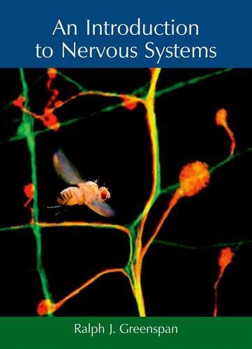 An Introduction to Nervous Systems (Textbook)