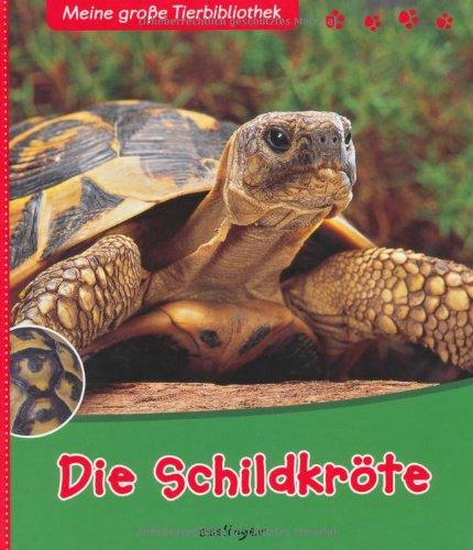 Die Schildkröte