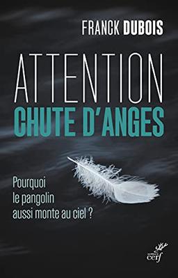 Attention chute d'anges : pourquoi le pangolin aussi monte au ciel ?